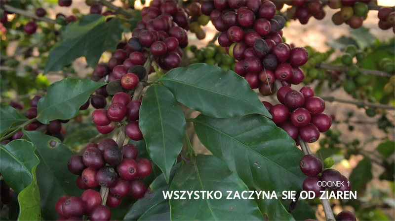 Część 1
